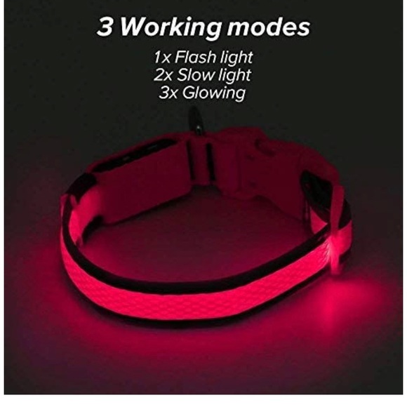 🆕 Clan-x LED Dog Collar, USB Rechargeable& Adjustable - Picture 2 of 7